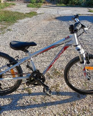 Bici bambino 