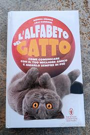 L'alfabeto del gatto