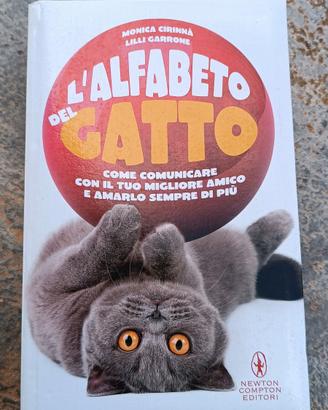 L'alfabeto del gatto