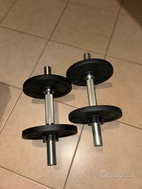 Coppia Manubri palestra 10kg