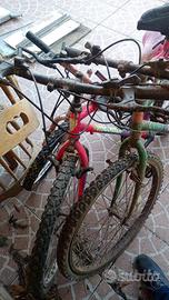 Mountain bike