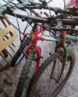 Mountain bike