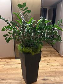 Vasi eleganti per interno ed esterno