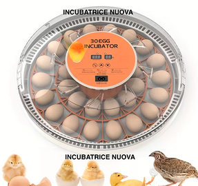 Incubatrice 30 uova gallina/quaglie