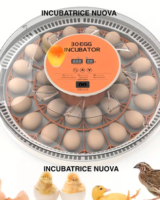 Incubatrice 30 uova gallina/quaglie