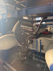 mercury 20 hp guida a barra