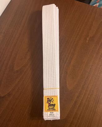 Cintura bianca taekwondo Tae Yang