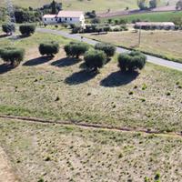 TERRENO AGRICOLO 12000 MQ