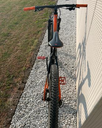 Mountain bike