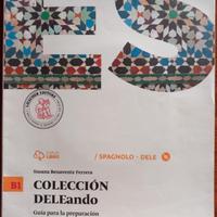 Coleccion delelando B1