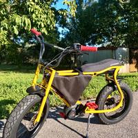 Bicicletta elettrica con pedalata assistita E-Bike