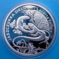 POLONIA ARGENTO WWF RAMARRO LUCERTOLA FAUNA