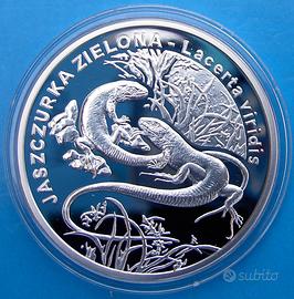 POLONIA ARGENTO WWF RAMARRO LUCERTOLA FAUNA