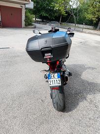 DUCATI MULTISTRADA 1200 S, DVT, TERMIGNONI