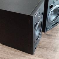 Monitor attivi Roland DM 20