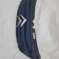 mascherina citroen c3