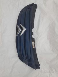 mascherina citroen c3