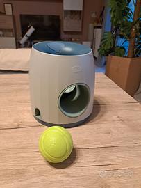 Gioco cane