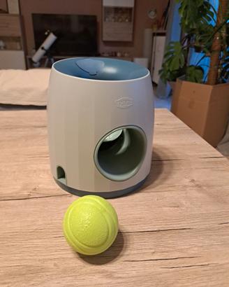 Gioco cane