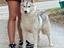Immagine 1