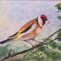 Quadro dipinto, autentico, Il Bel Cardellino, 