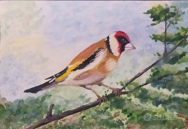 Quadro dipinto, autentico, Il Bel Cardellino, 