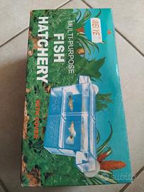  vaschetta per gestazione 