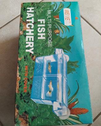  vaschetta per gestazione 