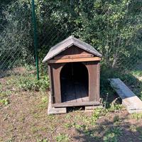 Casa per cane