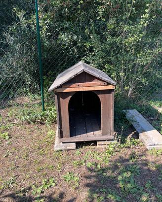 Casa per cane
