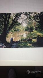 Terreno agricolo + edificabile