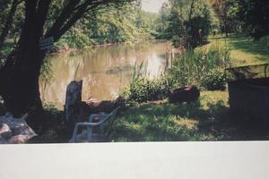 Terreno agricolo + edificabile