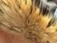 Immagine 5