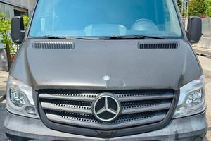 Autocarro Sprinter Mercedes