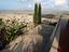 Immagine 14