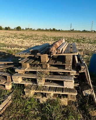 pallet di legno
