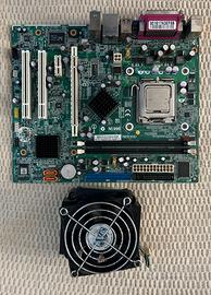 Scheda madre MSI MS-7254 VER 1.1 + cpu intel Penti