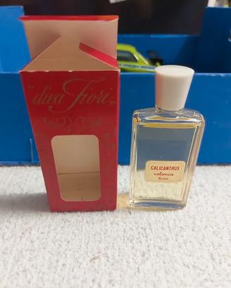 Calicanthus mignon profumo