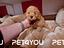 Immagine 17