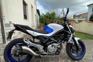Suzuki Gladius SV 650cc
