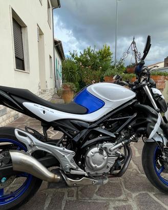 Suzuki Gladius SV 650cc