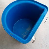 Cavallo - mangiatoia