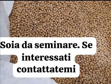 Soia da seminare