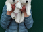 Immagine 14