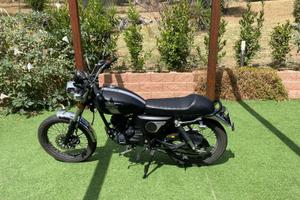 Mash Fifty 50 - 2020