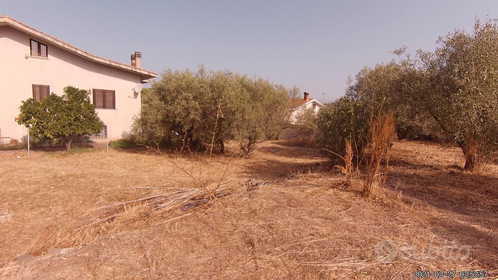 Terreno edificabile - Altro