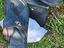 Immagine 2