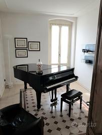 Piano a coda Zimmerman 