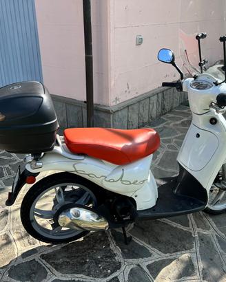 Scooter Scarabeo 50