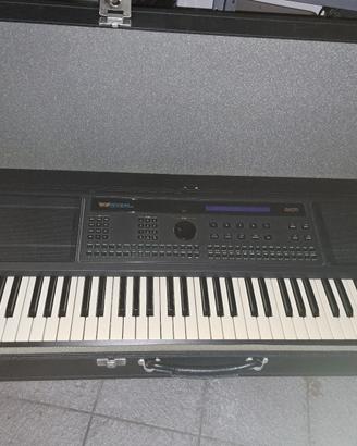 GEM WS2 + custodia rigida